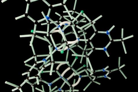 3-D-cultured-cells-could-drive-precision-therapy
