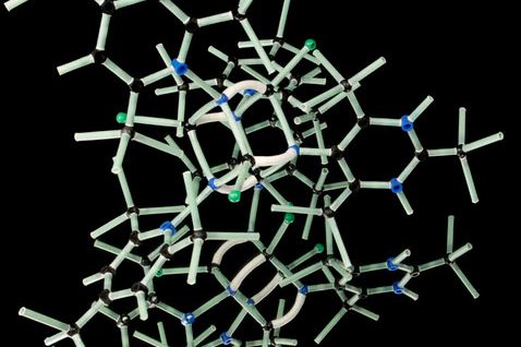 3-D-cultured-cells-could-drive-precision-therapy