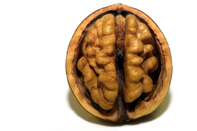 brain's health